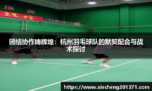 团结协作铸辉煌：杭州羽毛球队的默契配合与战术探讨
